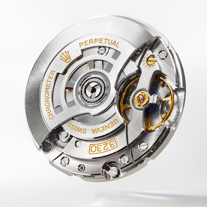 Rolex Oyster Perpetual 41 watches - Meierotto Jewelers