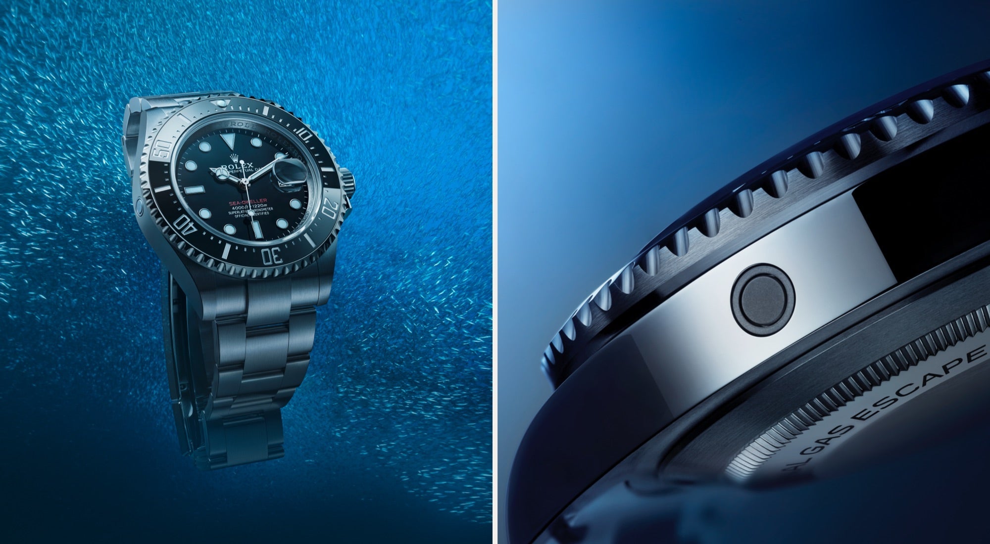 Rolex Sea-Dweller watches - Meierotto Jewelers