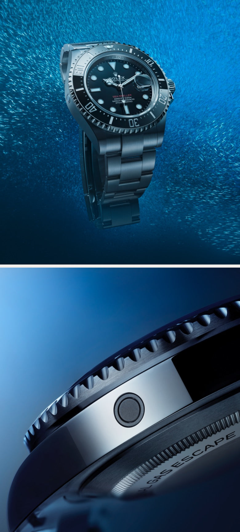 rolex Sea-Dweller watches - Meierotto Jewelers