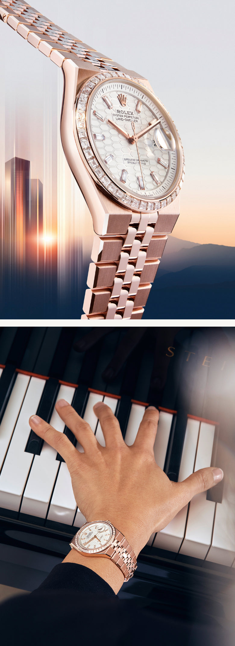 Rolex Land-Dweller watches - Meierotto Jewelers