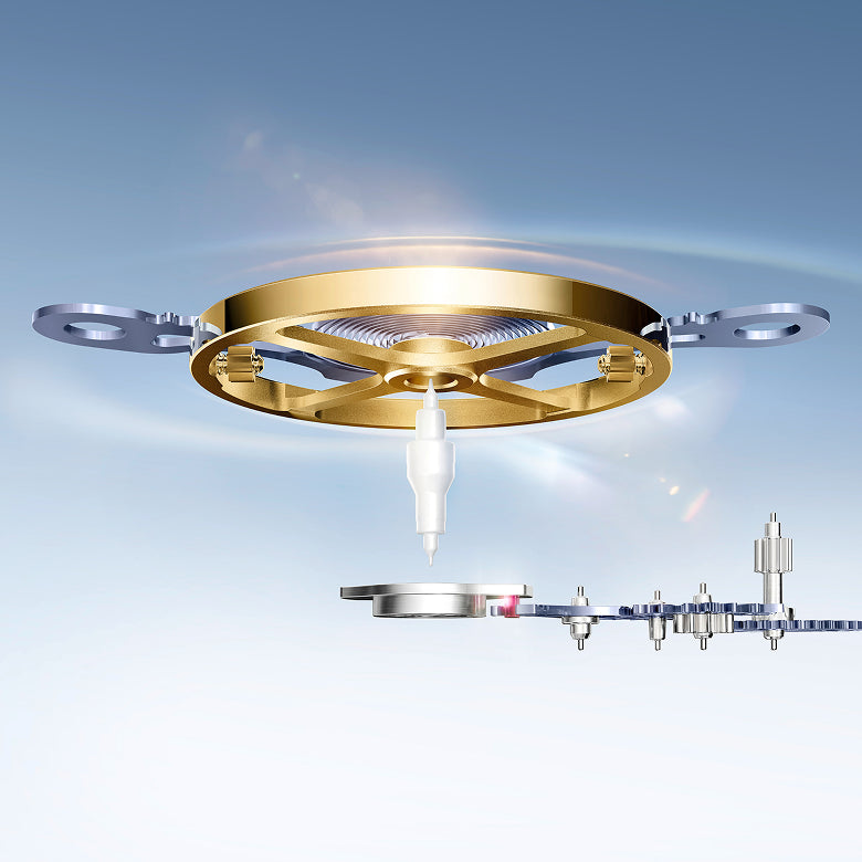 Rolex Land-Dweller watches - Meierotto Jewelers