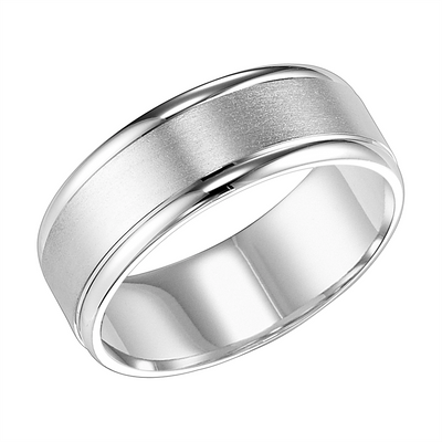 csv_image Mens Bands Wedding Ring in Platinum/Palladium 385881