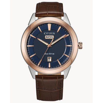 csv_image Citizen watch in Mixed Metals AW0096-06L